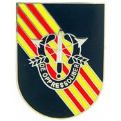 U.S. Army Special Forces Pin