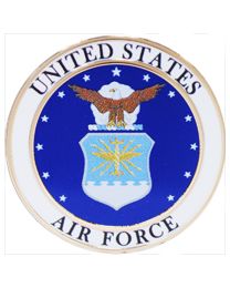 U.S. AIR FORCE PIN -1"