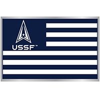 U.S. SPACE FORCE PIN- FLAG