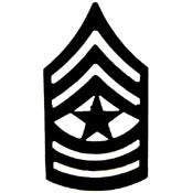 U.S. Army SGM E9 Pin