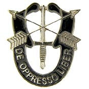 U.S. Army Special Forces Pin