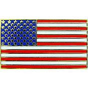 United States  Flag Pin